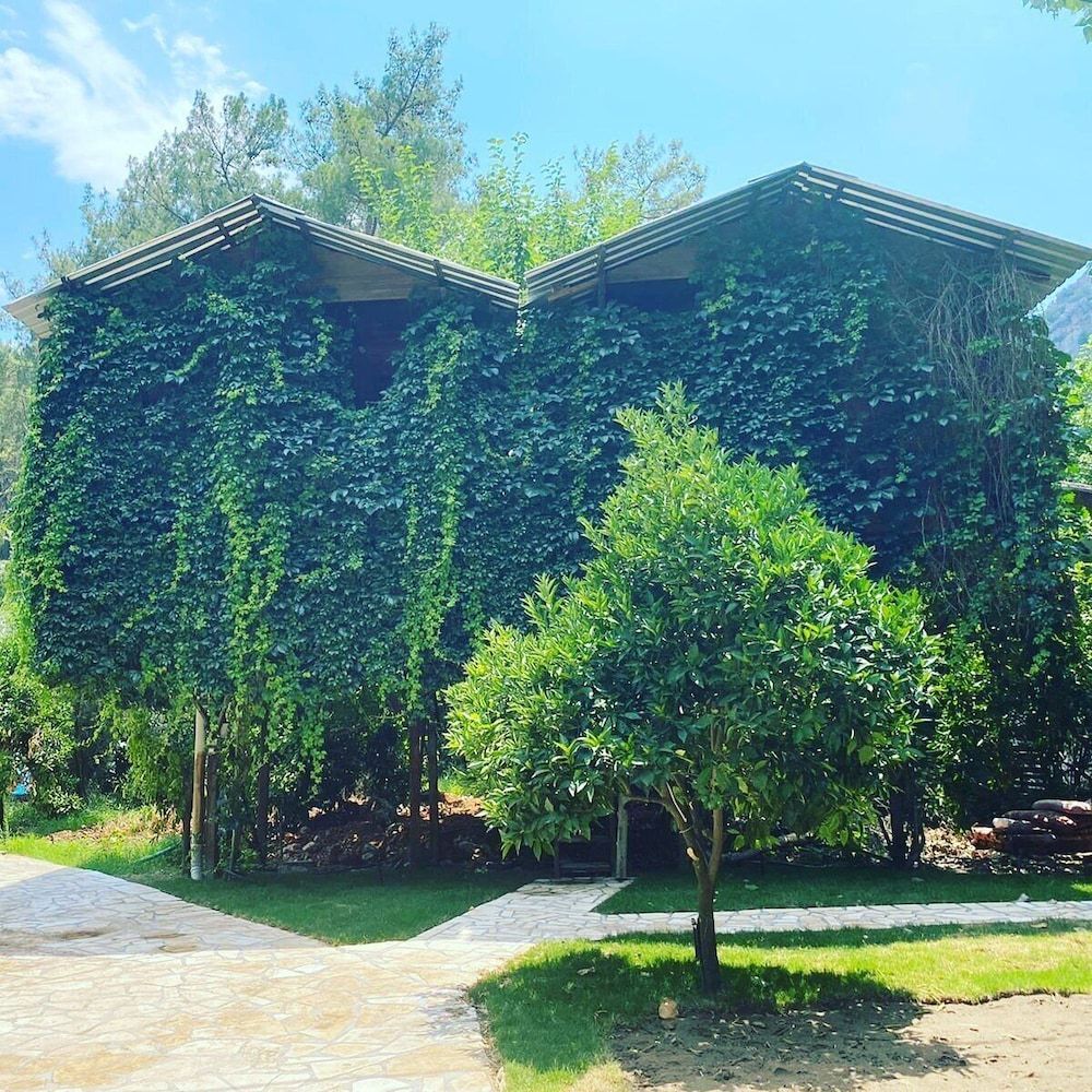 Bâle Mulhouse - Çıralı - Olympos Camlık Pension - Çıralı