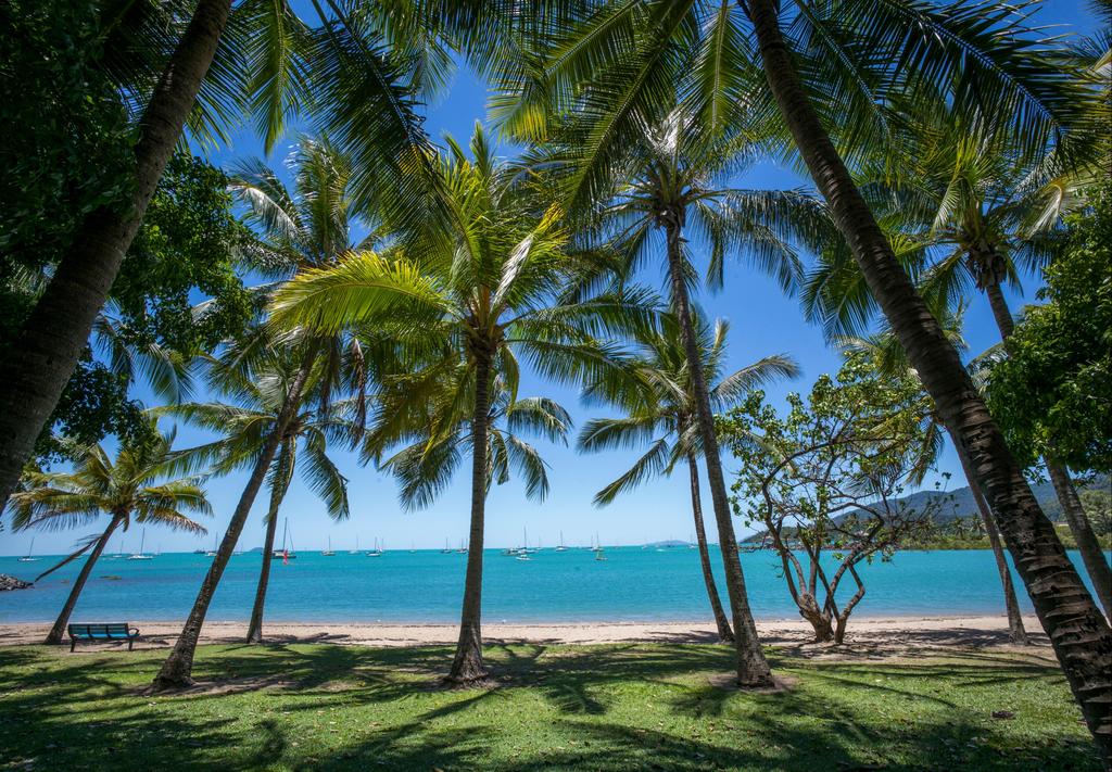 The Hostel, Airlie Beach 1