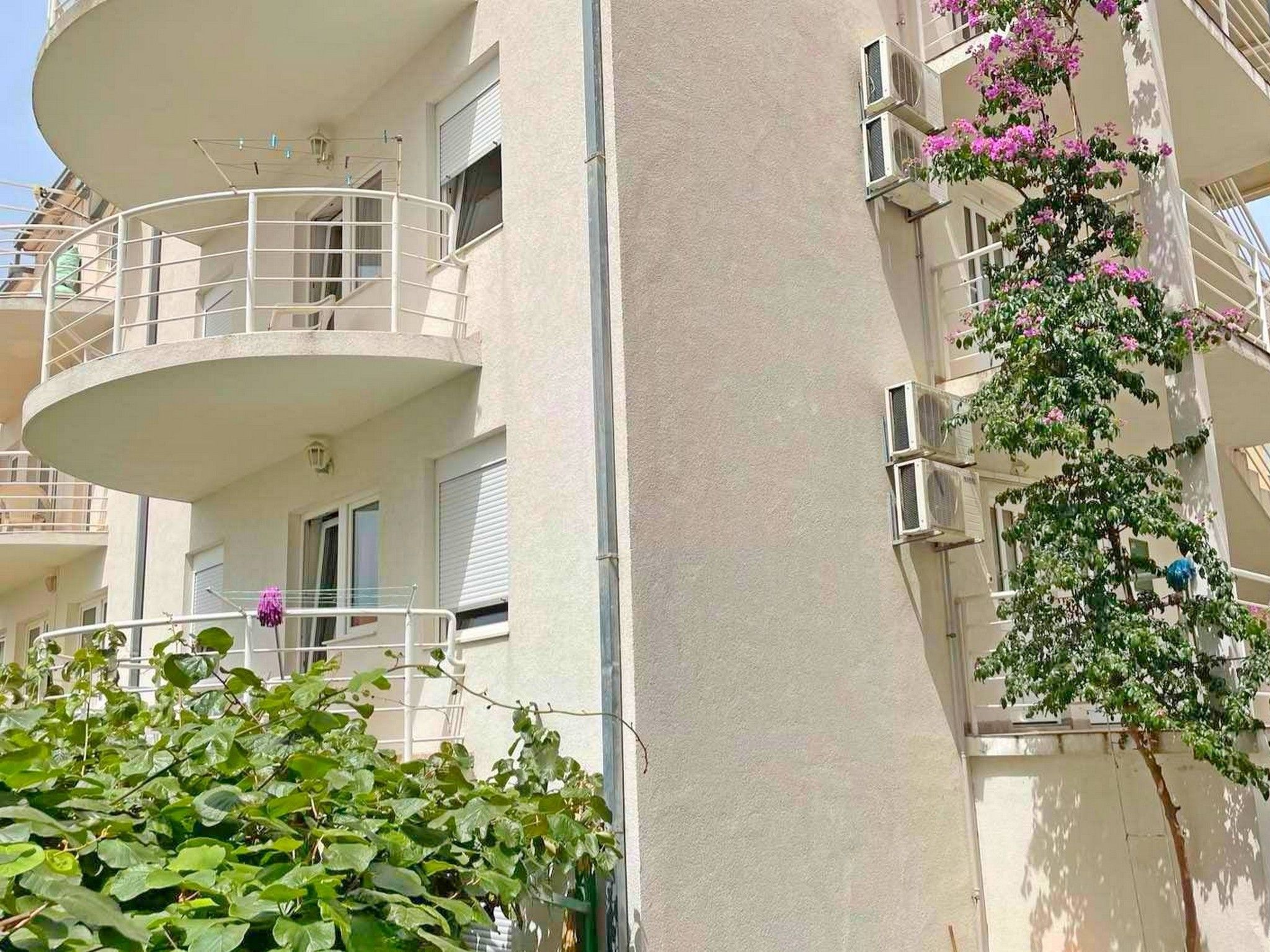 Apartments Papic 1