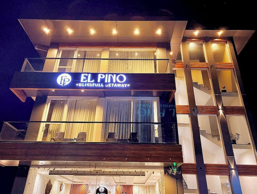 EL PINO 1
