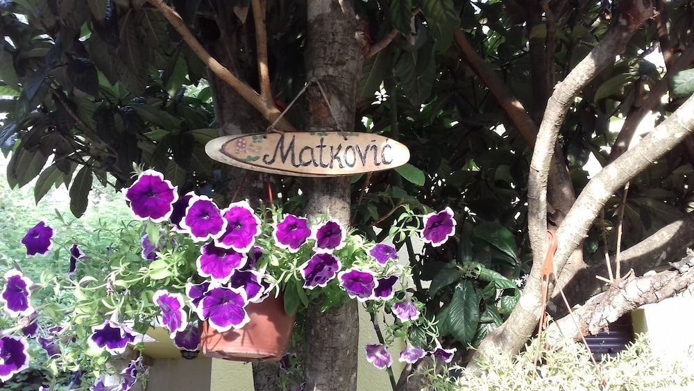 Apartments Matkovic 2