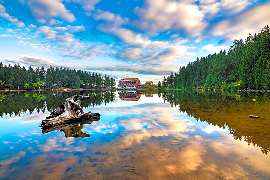 Berghotel Mummelsee 1
