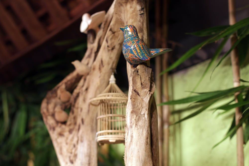 Green Bird Villa 2