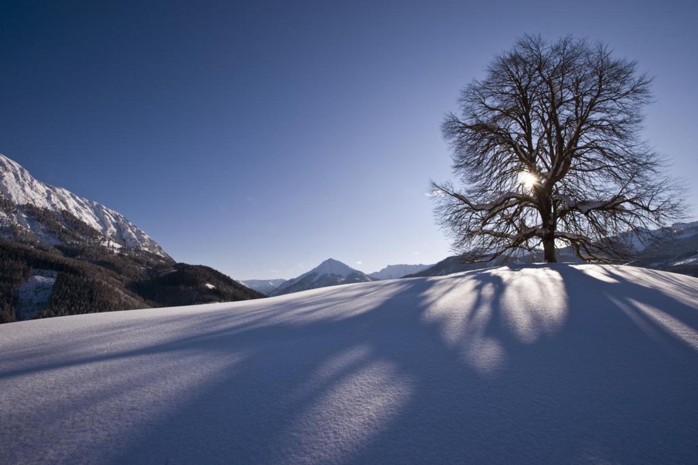 Posthotel Achenkirch Resort and Spa - Adults Only 2