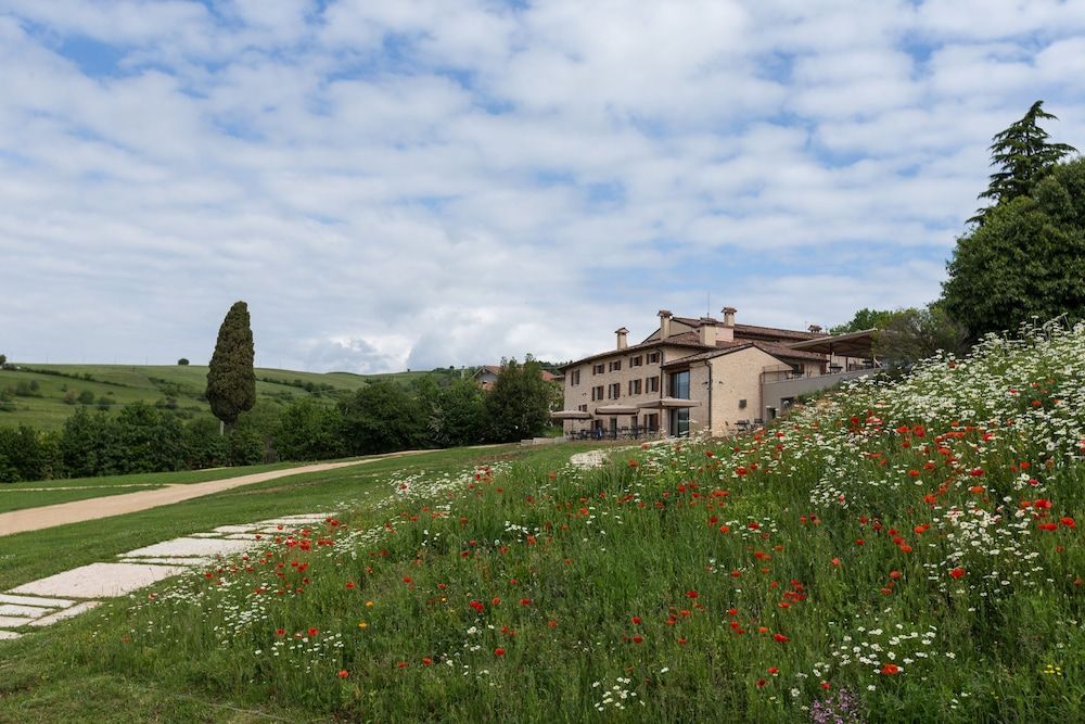 La Collina dei Ciliegi 1