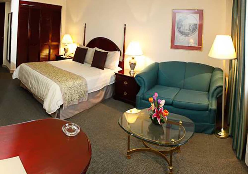 Pedregal Palace 1