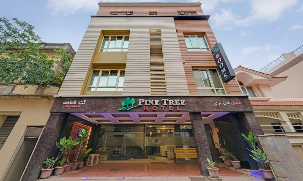 Hotel Pine Tree 1