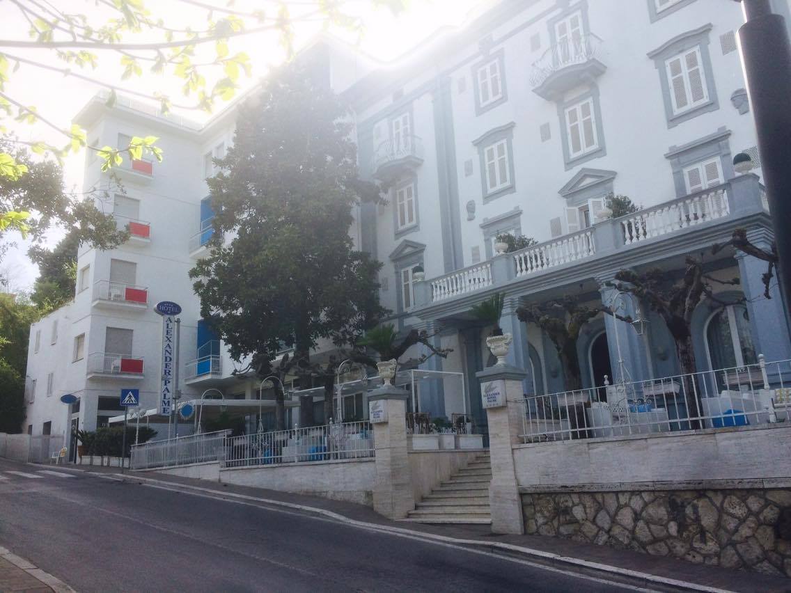 Hotel Alexander Palme 1