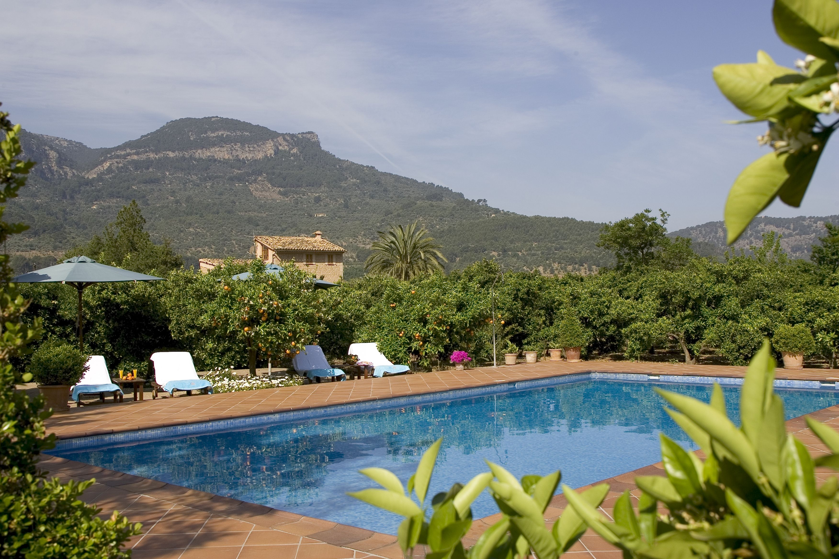 Finca Ca's Curial - Agroturismo - Adults Only 2