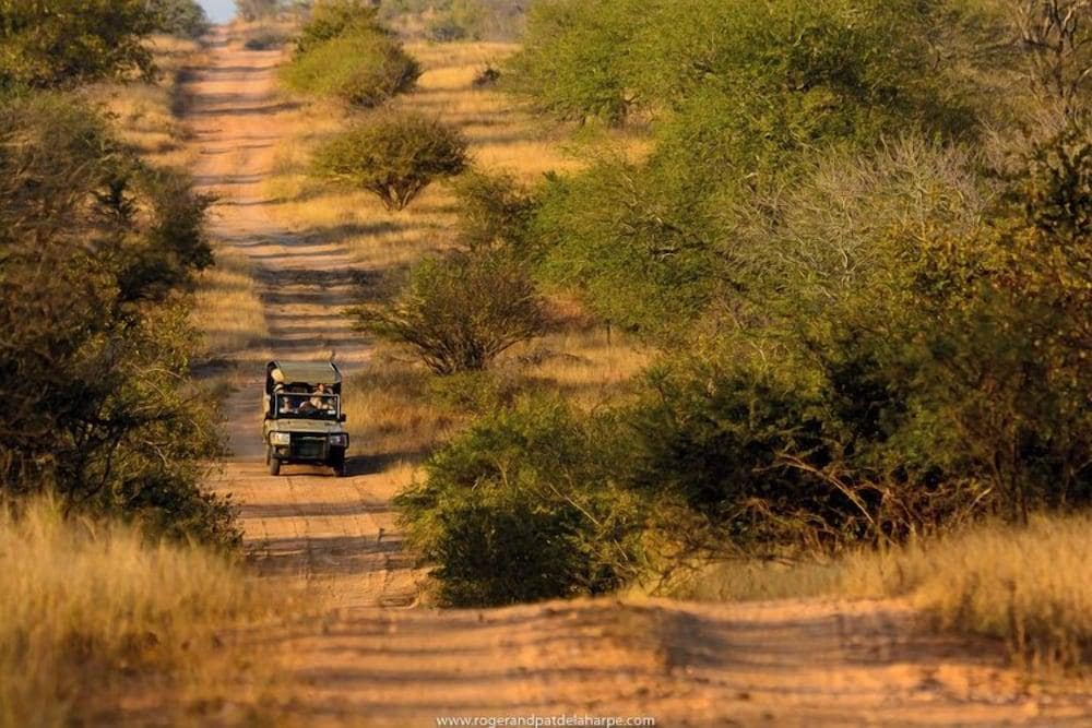 Rhino Walking Safaris 1