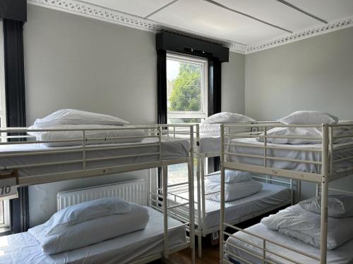 Lagan Backpackers 1