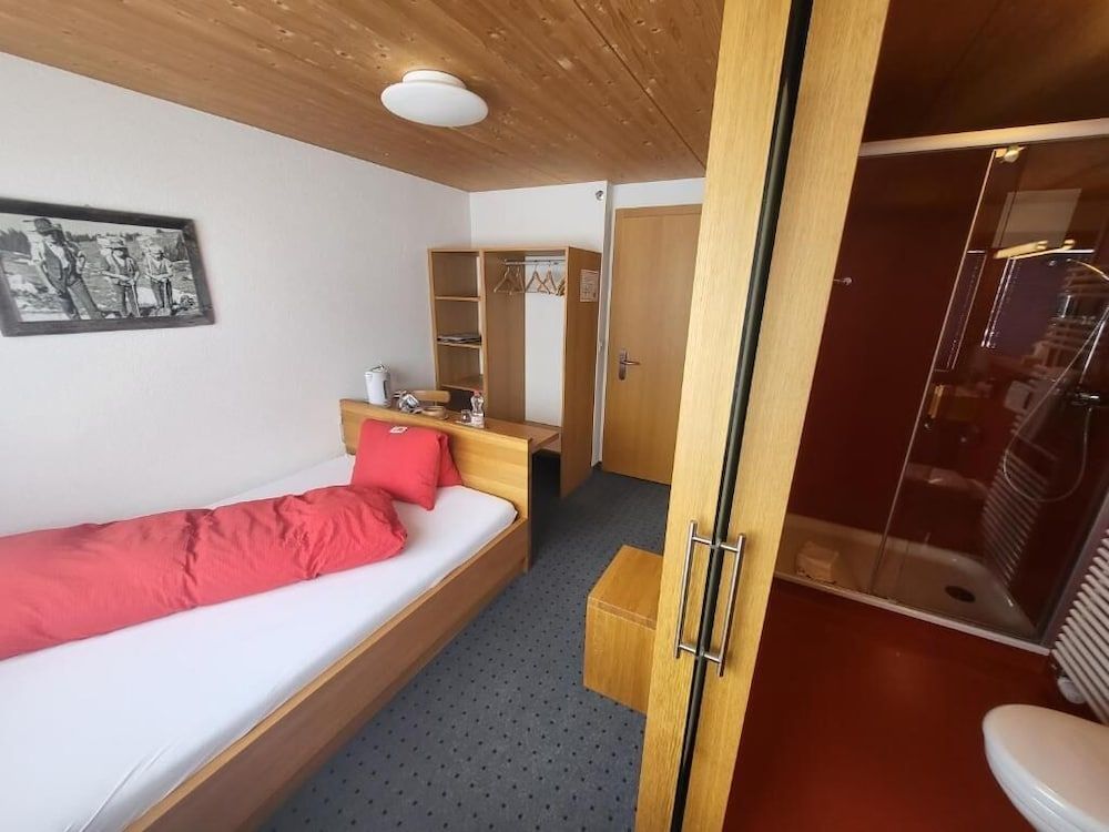 Paris - Grindelwald - Hotel Wetterhorn - Grindelwald