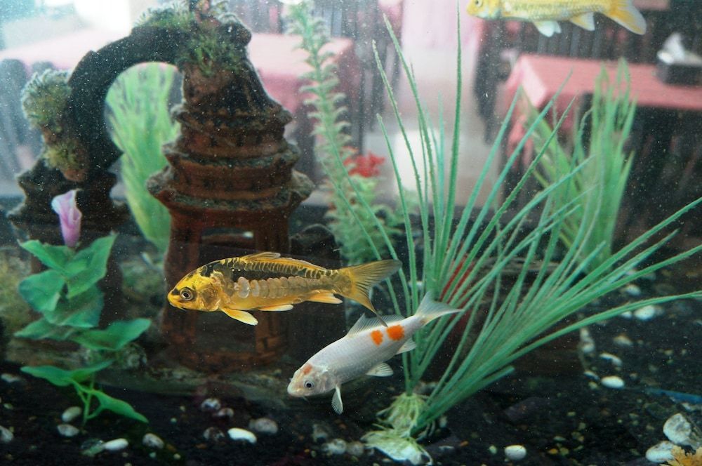 Noble Place Chiangmai 2