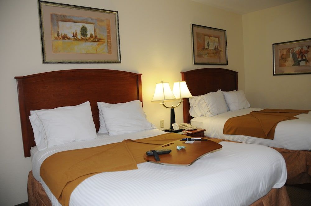 Holiday Inn Express & Suites DALLAS - GRAND PRAIRIE I-20 by IHG 2