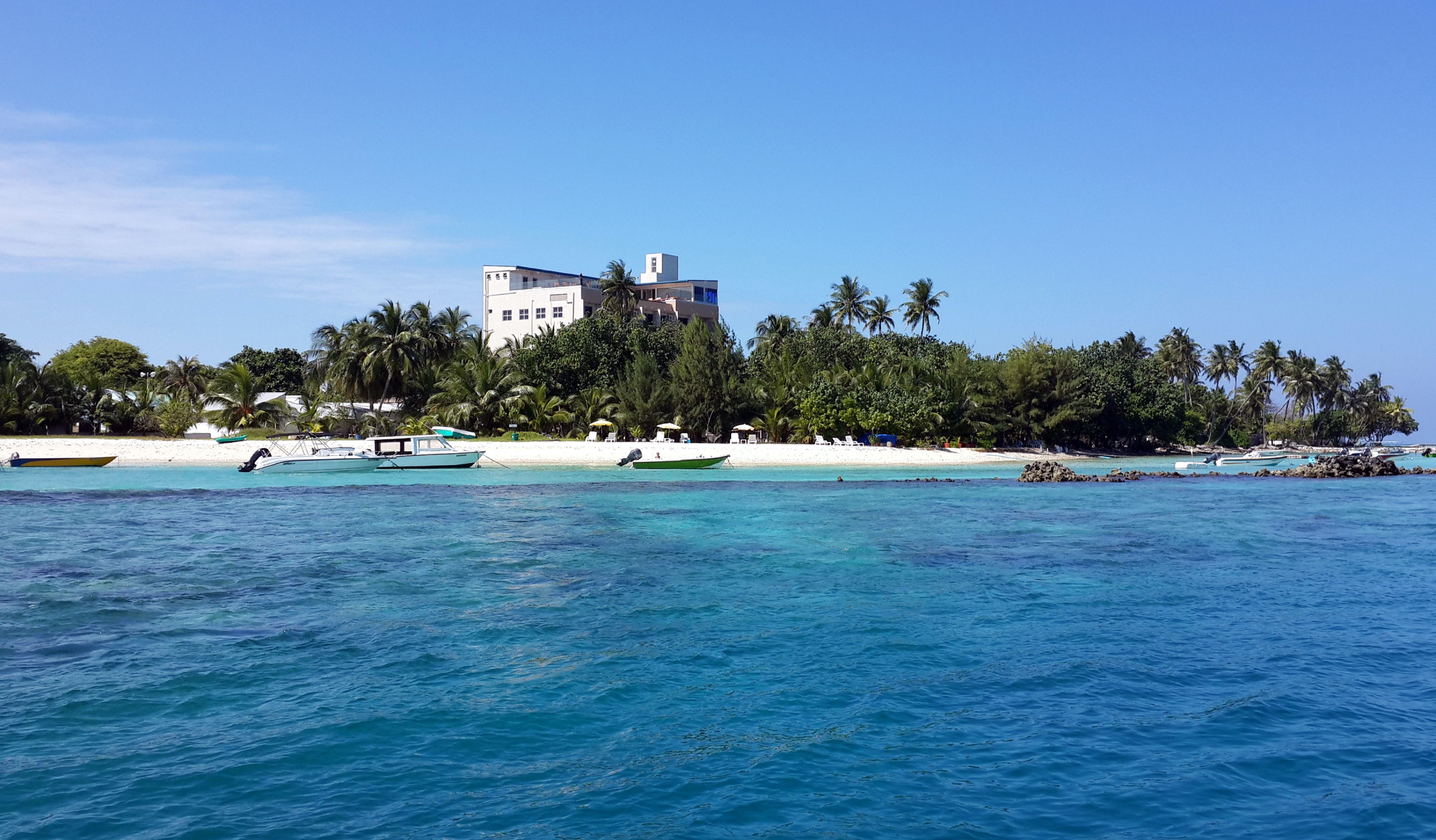 Season Paradise 2