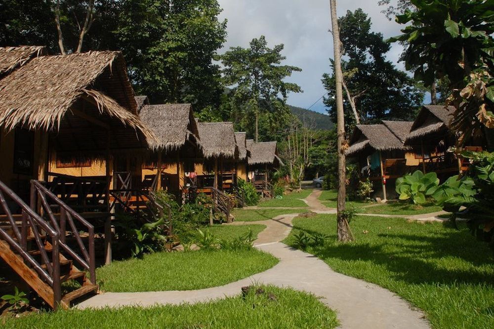 Jungle Garden 1