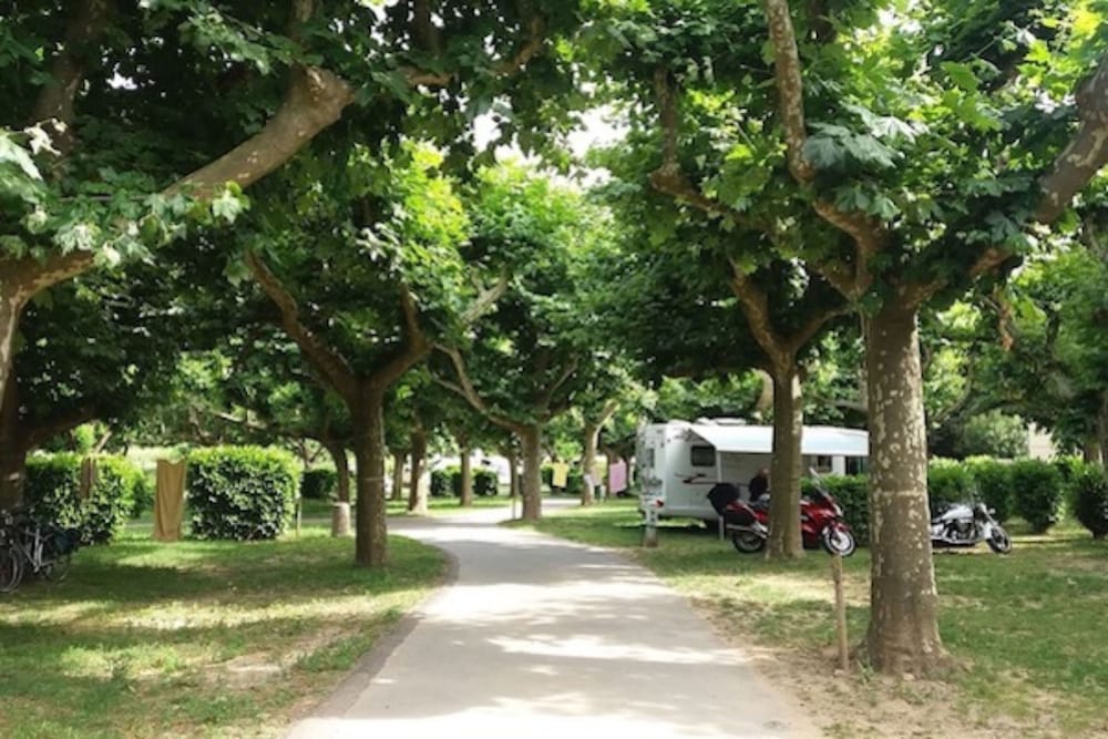 Camping de l'Ardèche 1