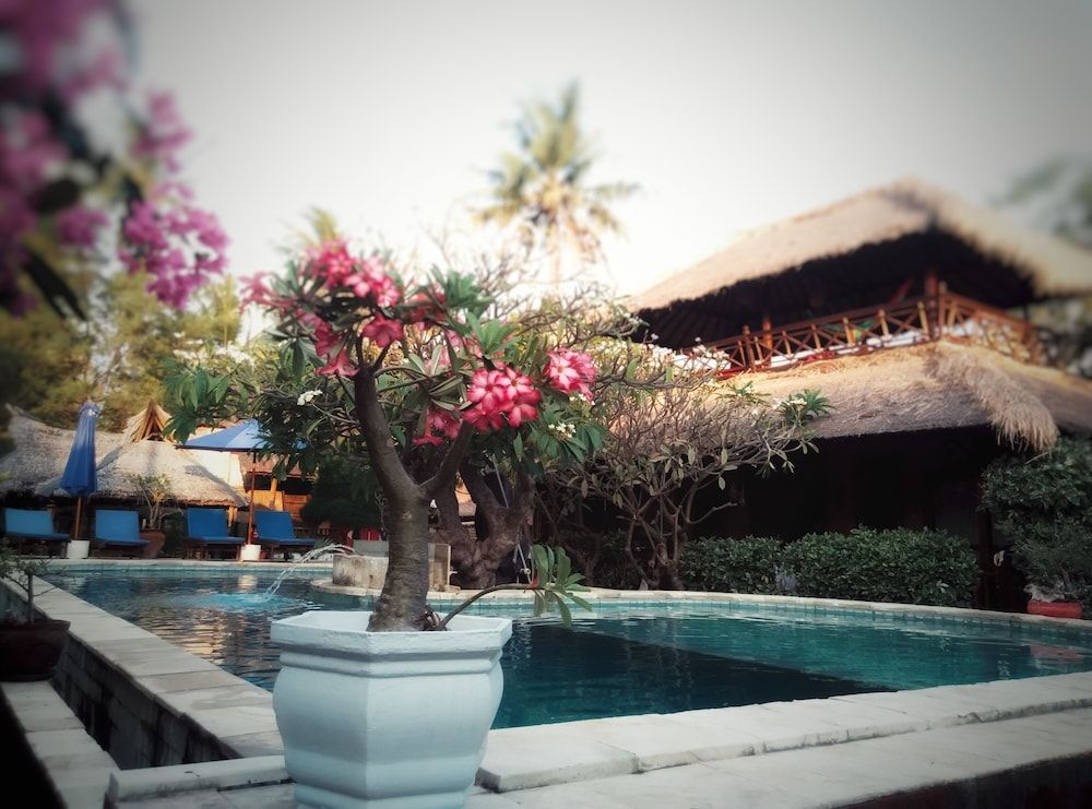Sejuk Cottages 1