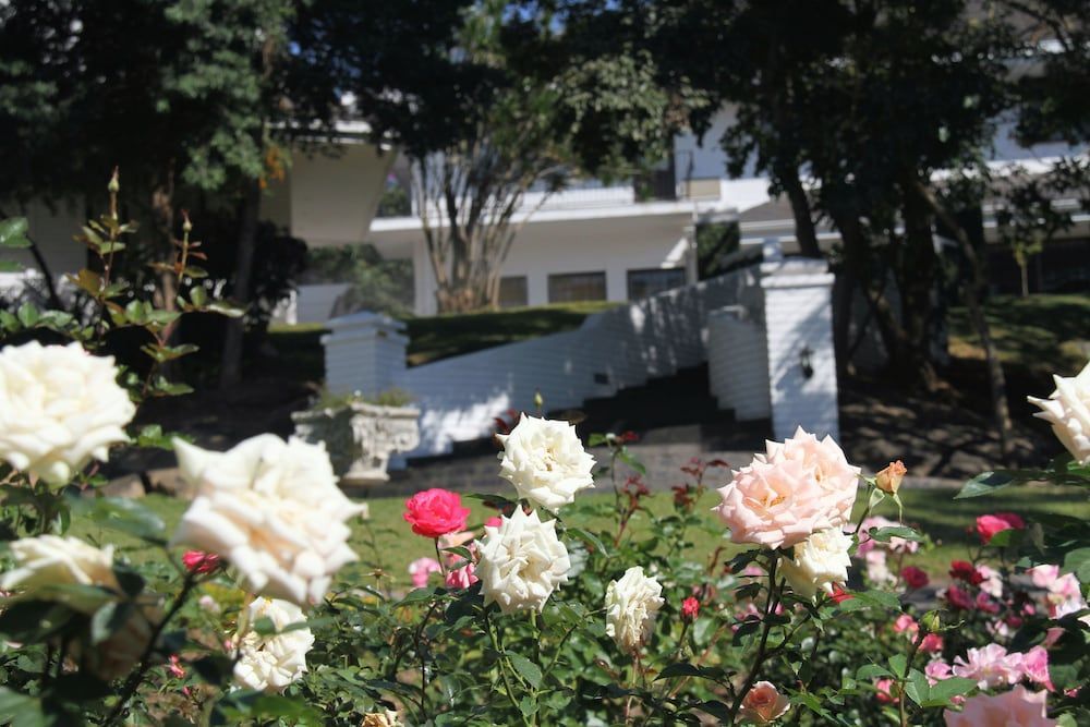 Sheppard Boutique Hotel 2