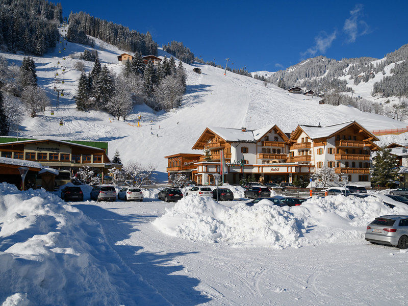 Hotel Auhof 1