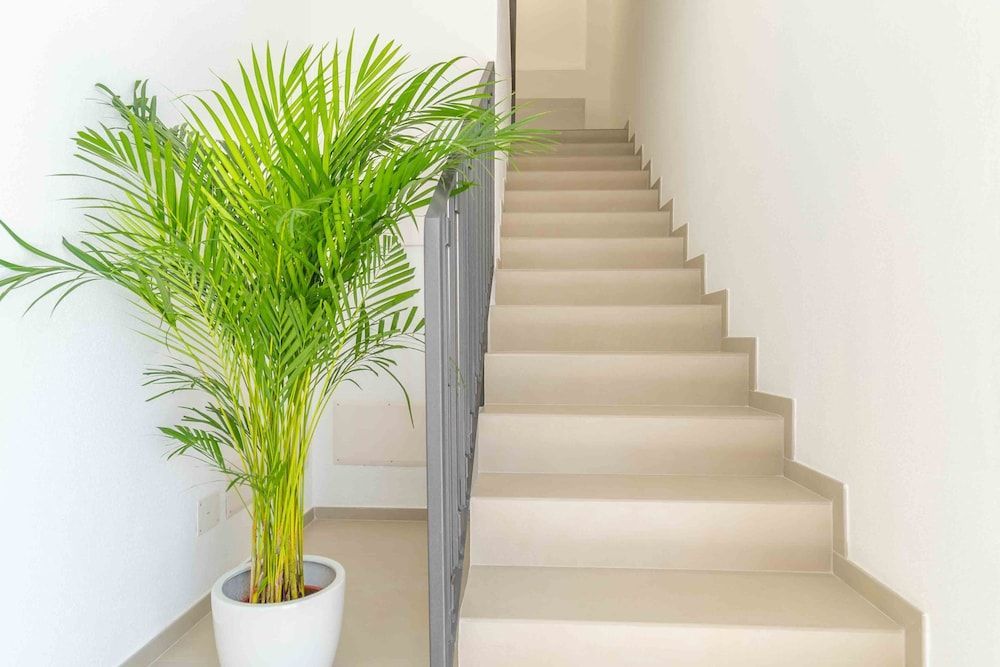 Nuova -Luxury Rooms & Apartment- 2