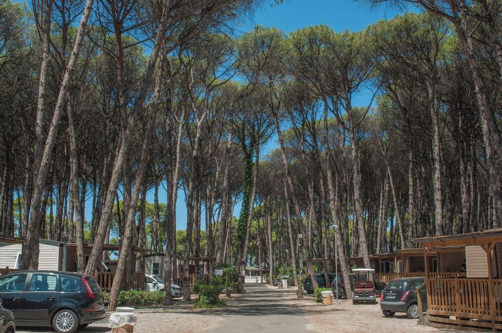 Camping Village Mare Pineta 1