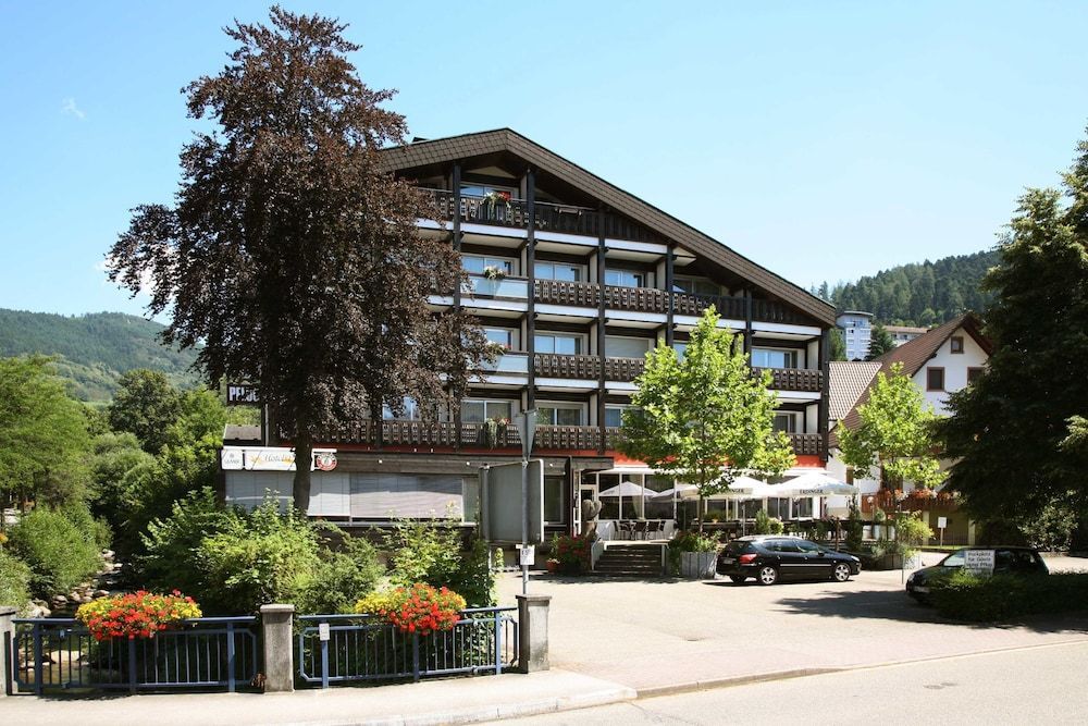 Hotel Pflug 1