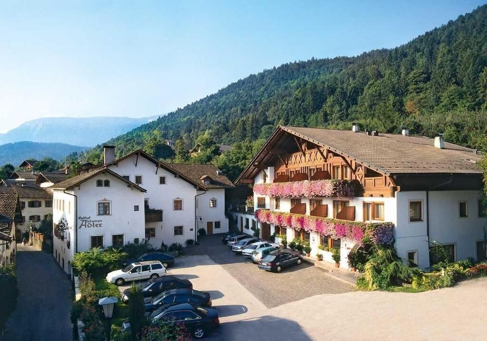 Schwarzer Adler 1