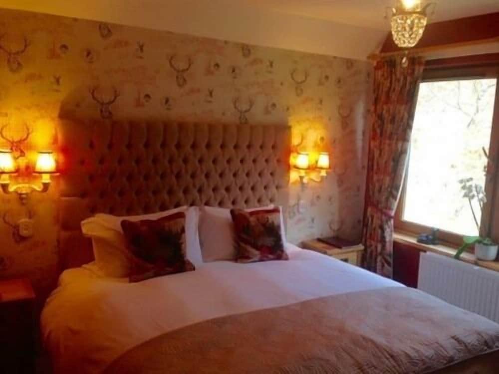 Highland Bear Lodge & Woodland Bear Huts 2