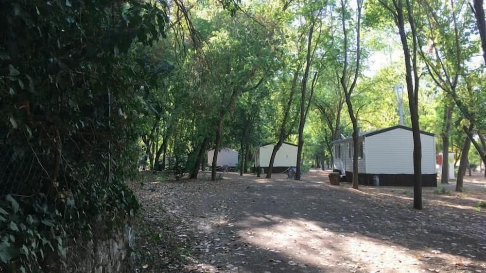 Camping La Fundicion 2
