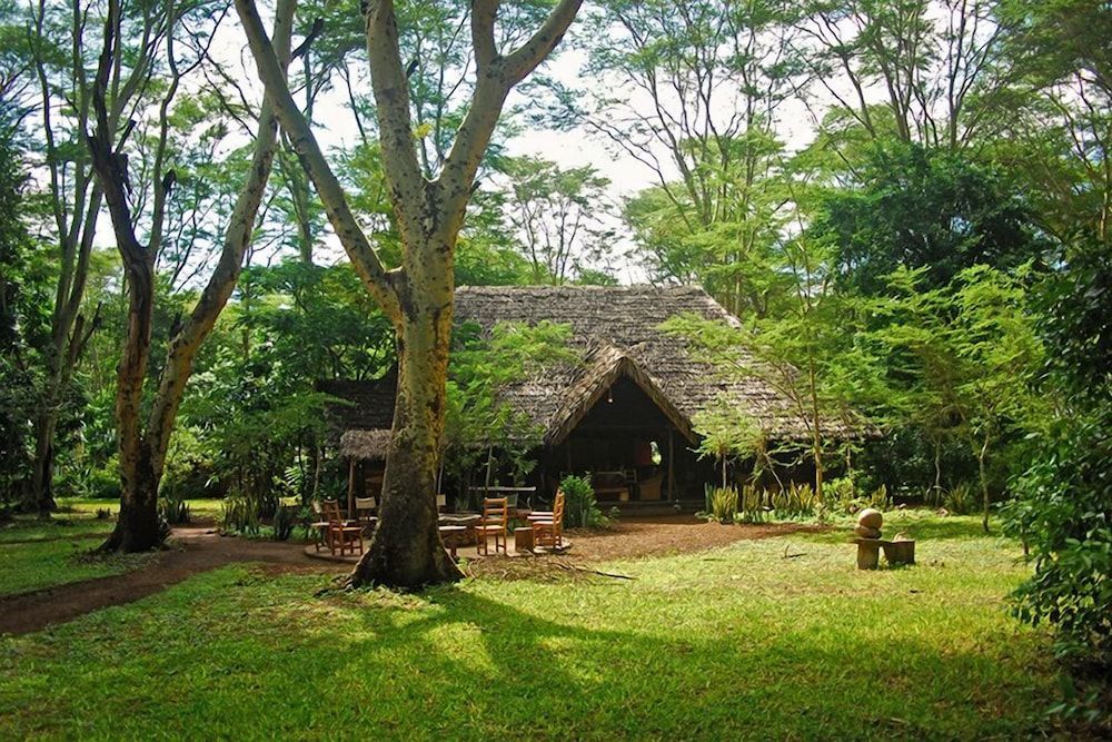 Marseille - Lake Manyara National Park - Migunga Tented Camp - Lake Manyara National Park
