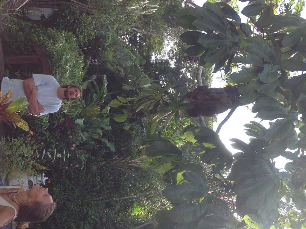 The Lotus Garden 2