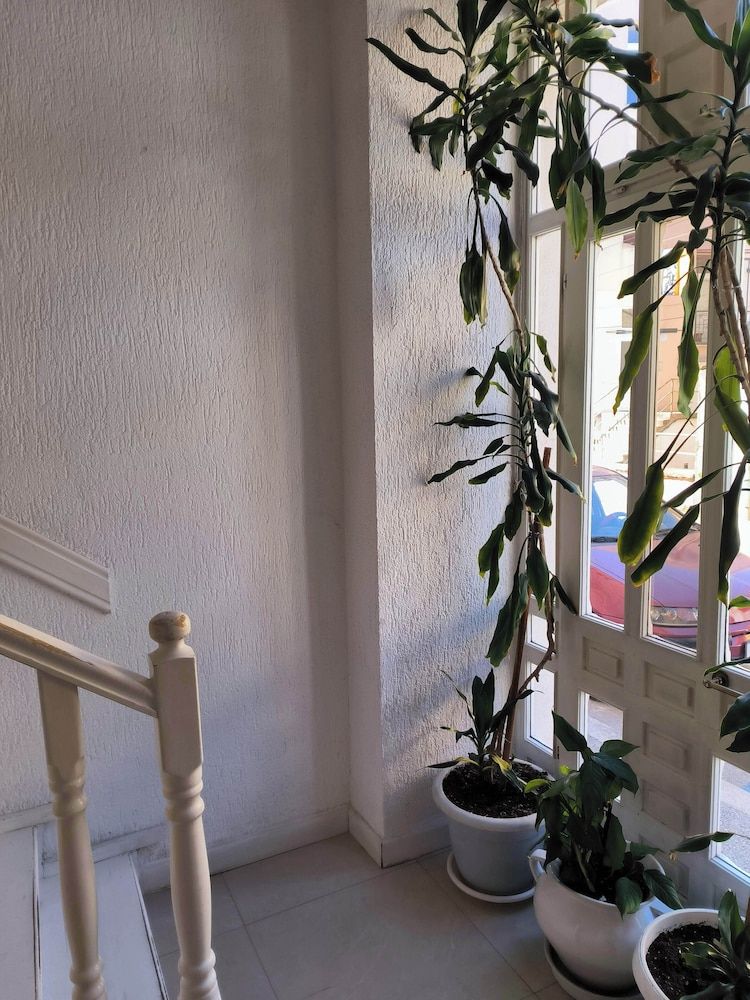Omir Bed & Breakfast 2