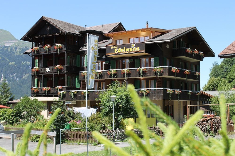 Hotel Edelweiss 1