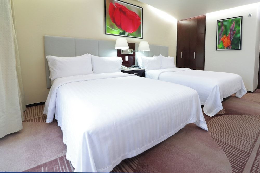 Holiday Inn & Suites MEXICO MEDICA SUR by IHG 1