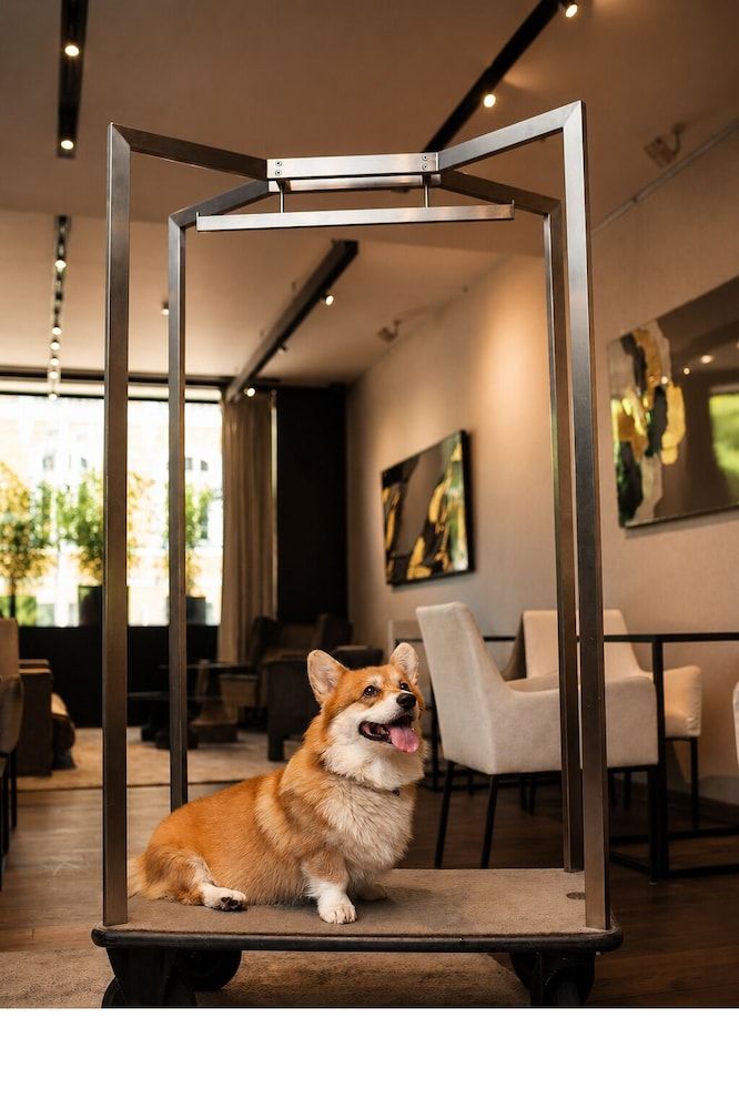 Sense Hotel Sofia, a Member of Design Hotels 2