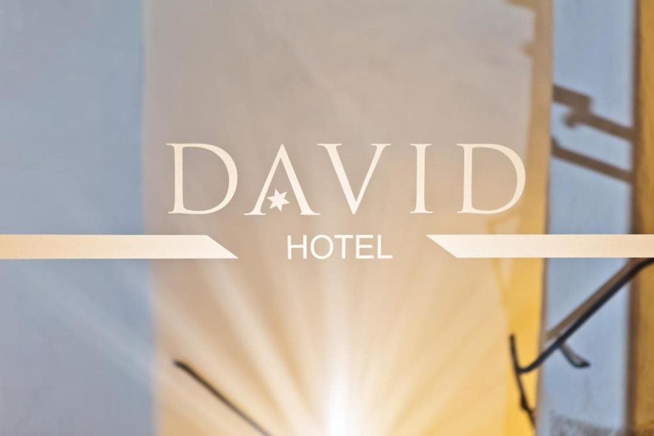 Hotel David an der Donau 2