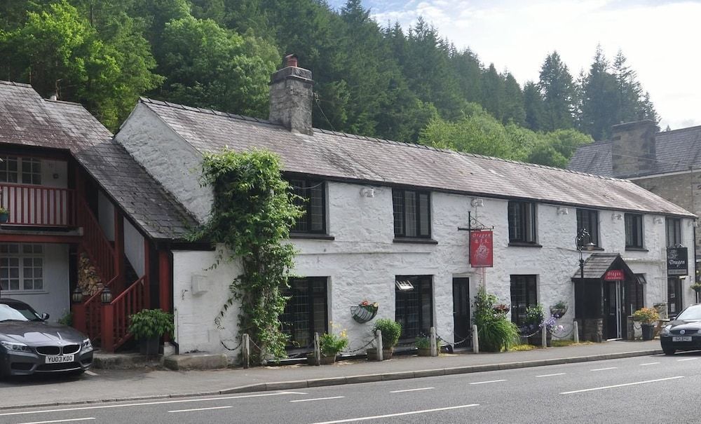 Dragon Bed and Breakfast 1