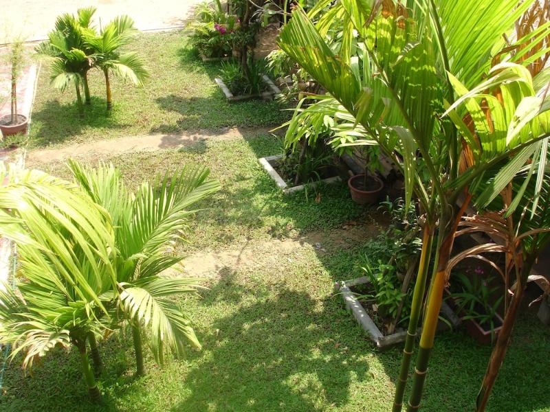 Jasmine Family Hostel 1