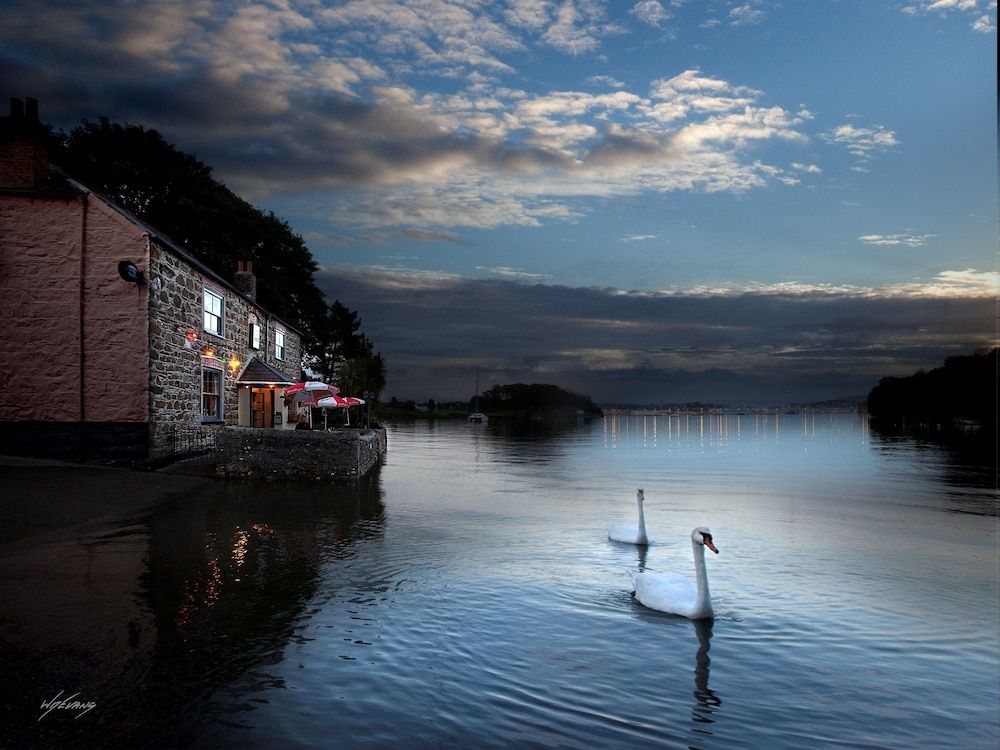 The Wilcove Inn 1