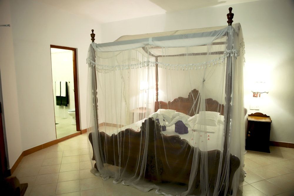 Bougain Villa 2