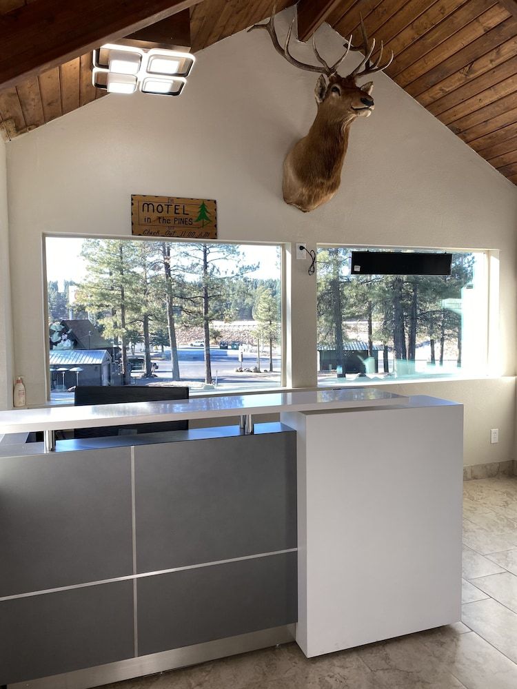 Motel In The Pines 2