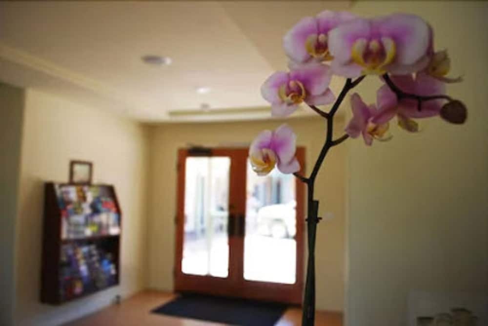 Bella Capri Inn and Suites 2
