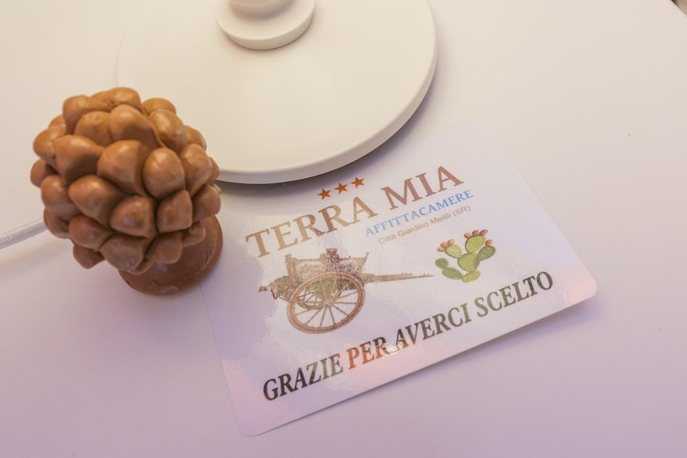 TERRA MIA 2
