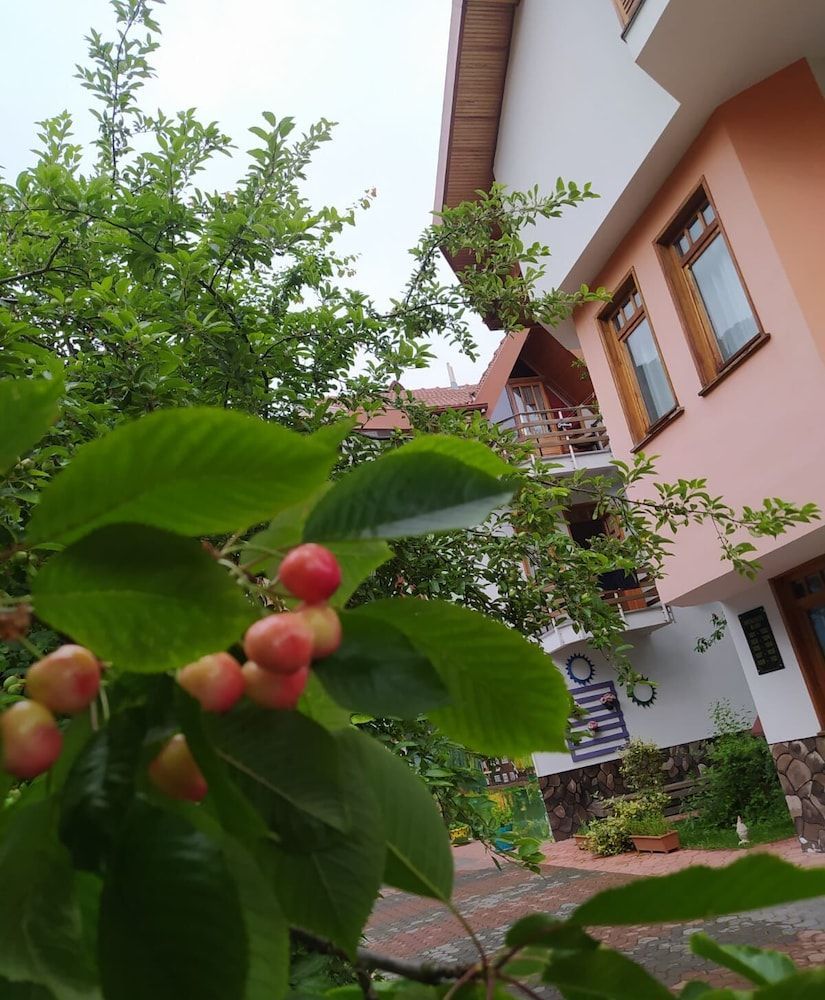 Bolu Yildiz Hotel 1
