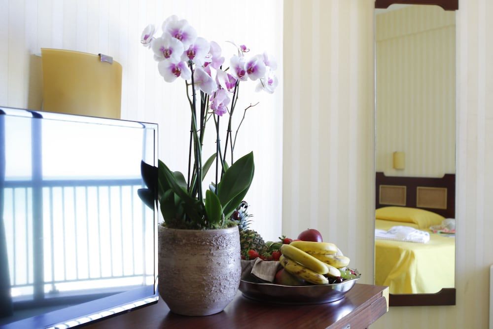 Mediterraneo Resort 2