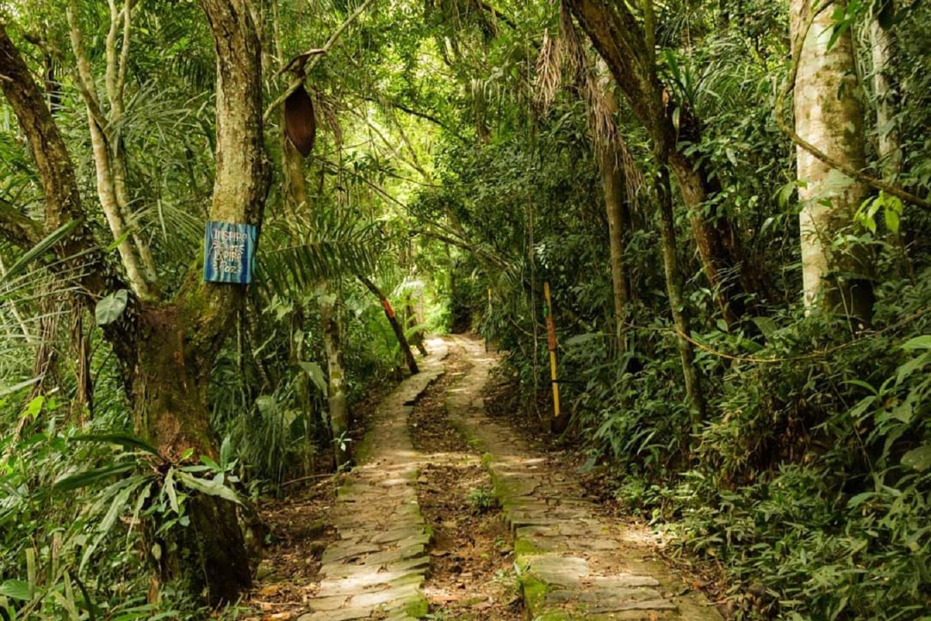 ReMo Treehouse Hostel 2