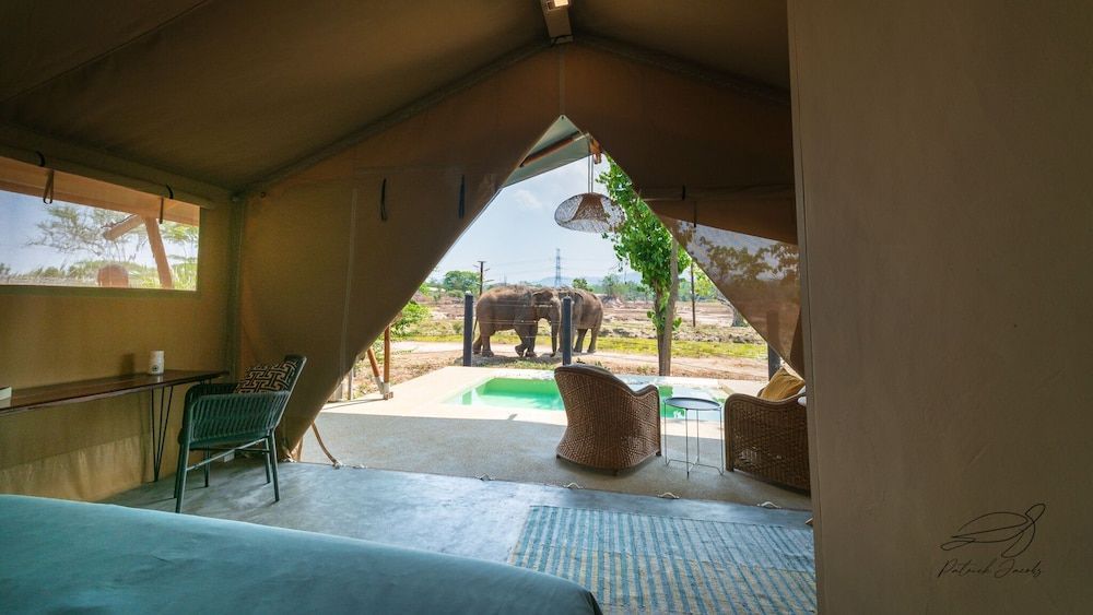 Elephant View Camp 2