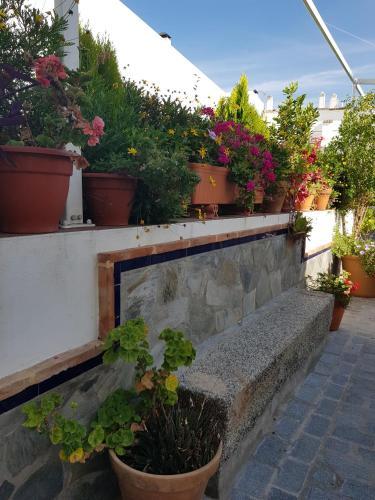 Hotel Entreolivos 2