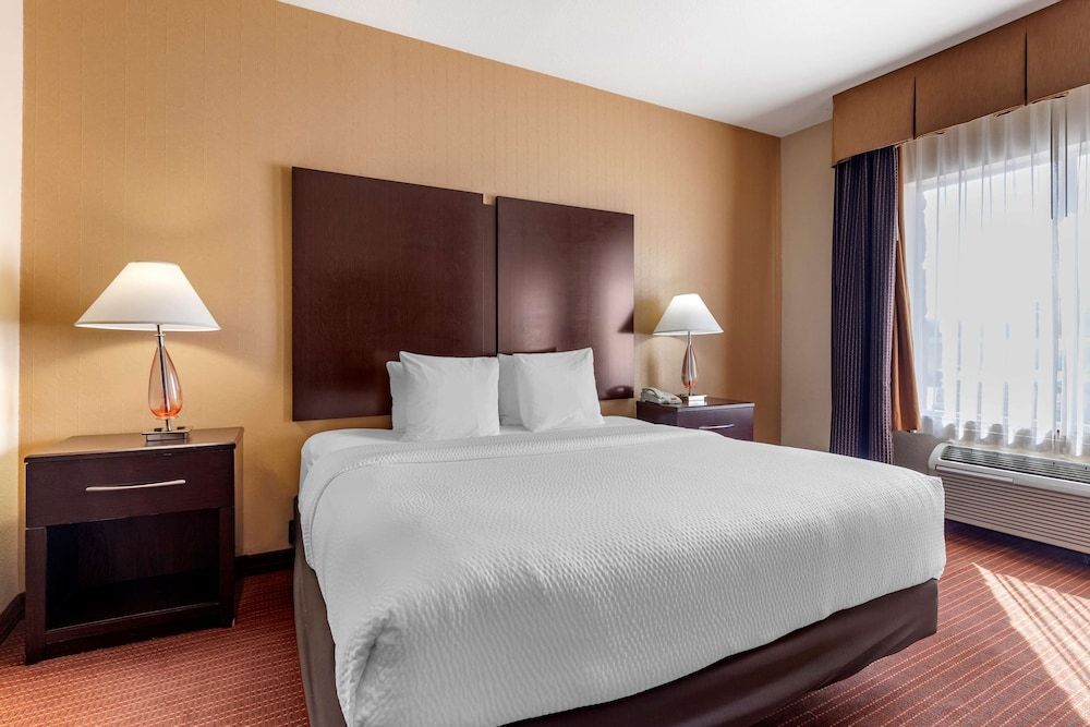 Best Western Plus DFW Airport West Euless 1